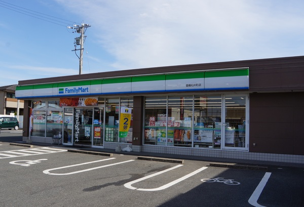 豊橋市向草間町向西のコンビニ画像