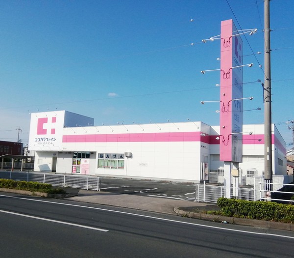 豊橋市馬見塚町59期　2号棟のドラッグストア画像