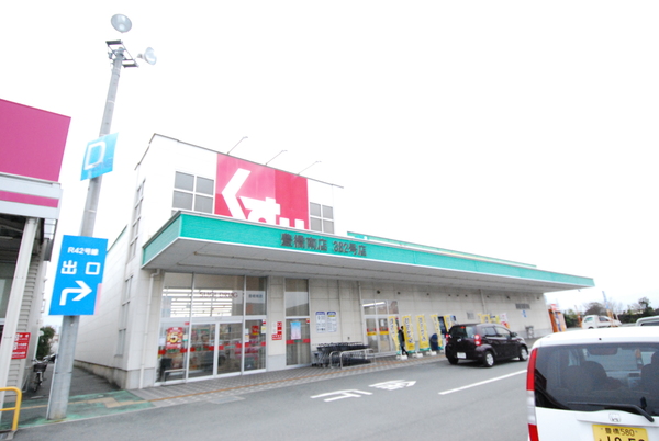 豊橋市大崎町59期 全1棟のドラッグストア画像