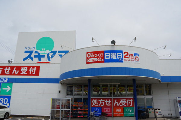 豊橋市花田町越水のドラッグストア画像