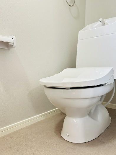 豊橋市花田町越水のトイレ画像