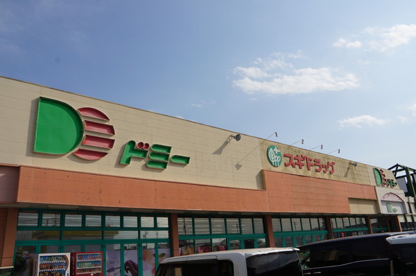 豊橋市神野新田町第1期1号棟のスーパー画像