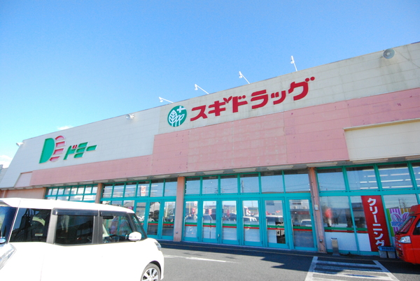 豊橋市神野新田町第1期1号棟のドラッグストア画像