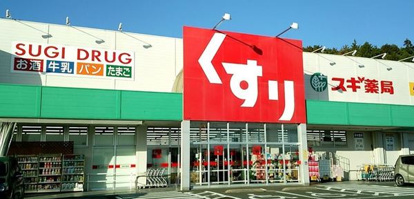 豊橋市大岩町北山のドラッグストア画像