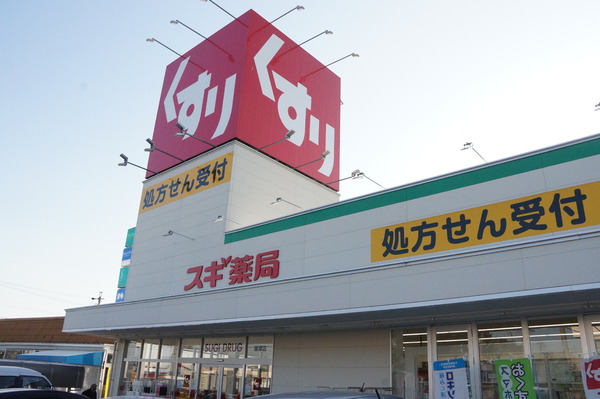 豊川市御津町大草59期　1号棟のドラッグストア画像