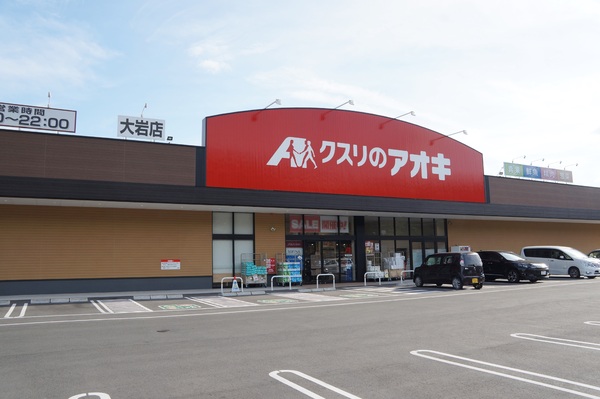 豊橋市大岩町第2期　全1棟のドラッグストア画像