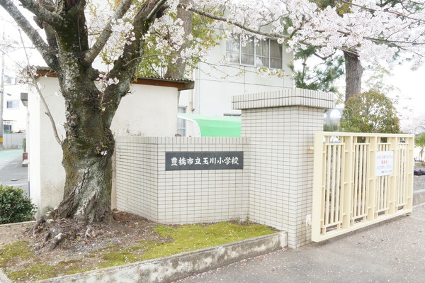 豊橋石巻本町2期 全1棟の小学校画像