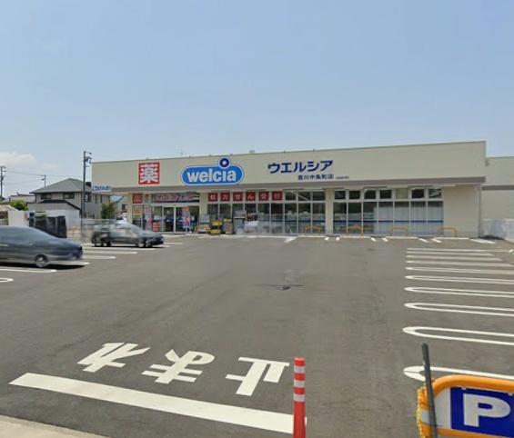 豊川市中条町59期 5号棟のドラッグストア画像