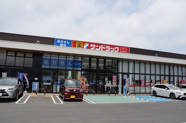 豊橋市曙町松並第1期 2号棟のドラッグストア画像