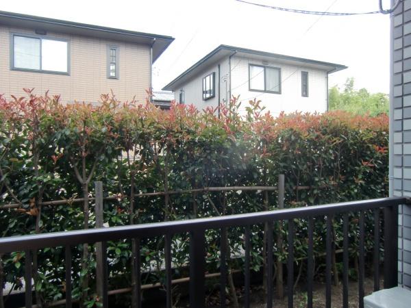 パレス中和泉の現地からの眺望画像