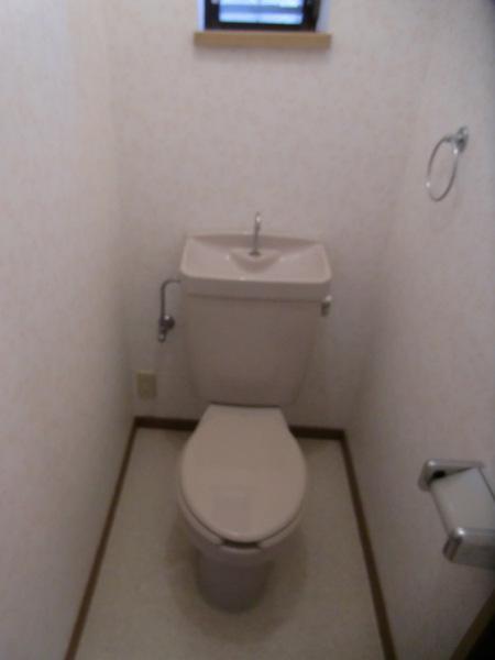 パレス中和泉のトイレ画像