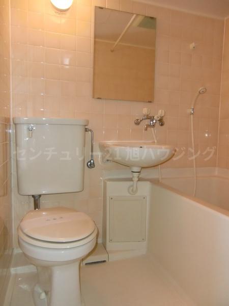モンターニュ国領のトイレ画像