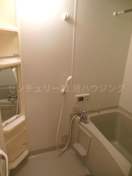 ヴェルドミールのバス画像