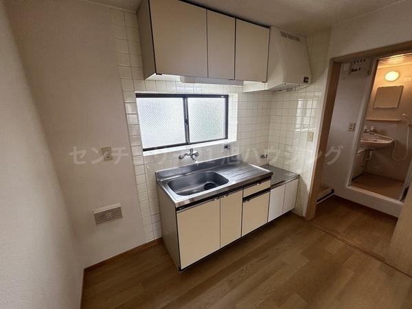 パレス中和泉のキッチン画像