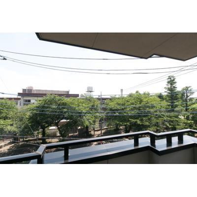 コーボック国領の現地からの眺望画像