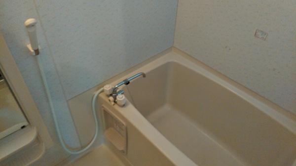 ルードルフィアタウンズのバス画像