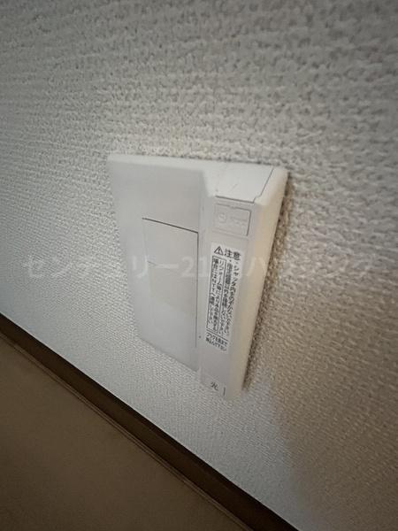 センチュリーセピアのその他画像