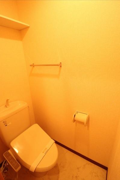 ルピナスコート柴崎のトイレ画像