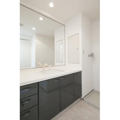 クラッサ調布の洗面台・洗面所画像