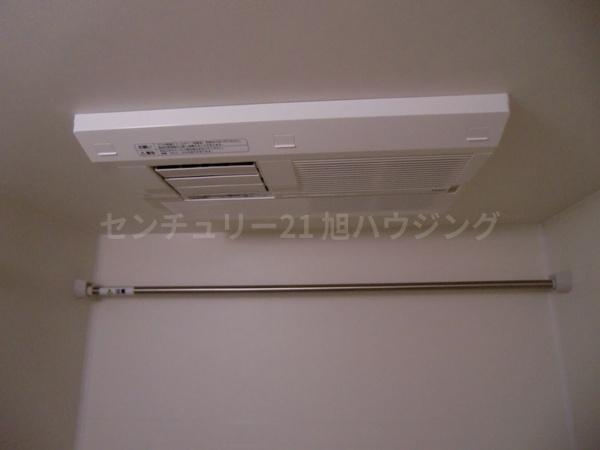ジェルソミーナのその他画像