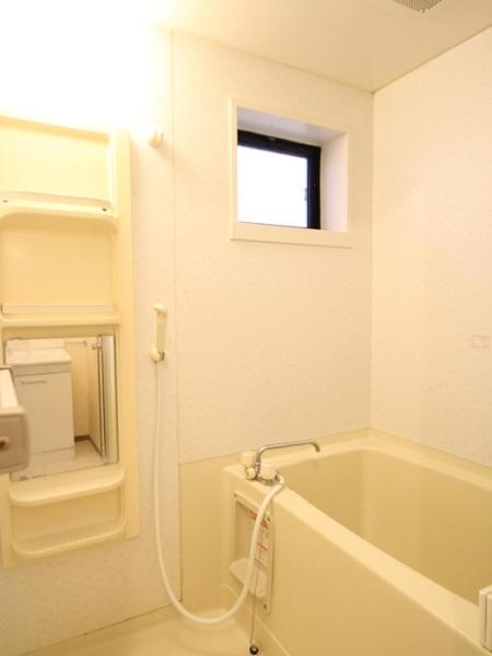 ルードルフィアタウンズのバス画像