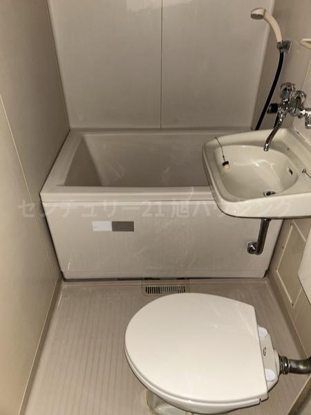 リバーモガミのバス画像
