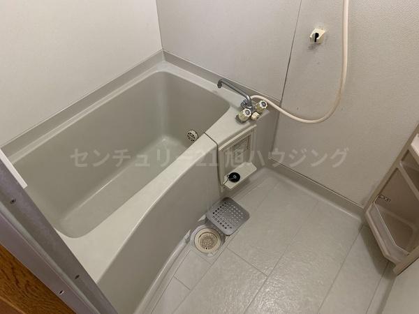 セントラルパレス１５のバス画像