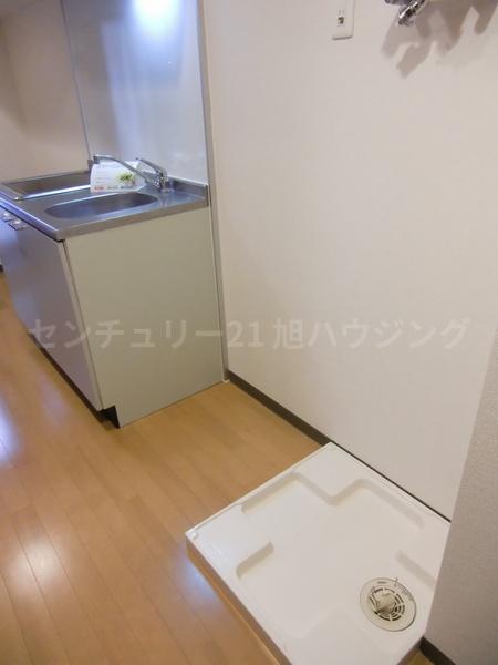 ジェルソミーナのその他画像