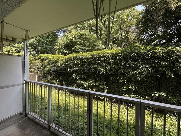 エミナンスチノのバルコニー画像