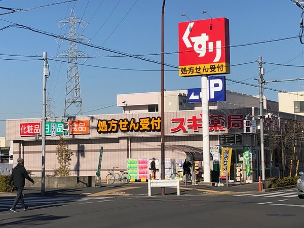 エレガンシアのドラッグストア画像