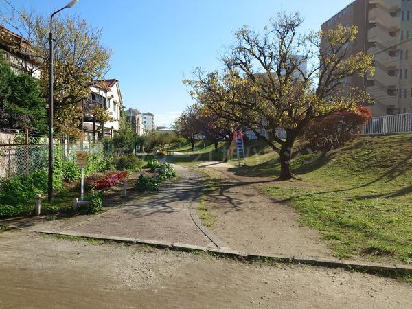 プラム12の公園画像