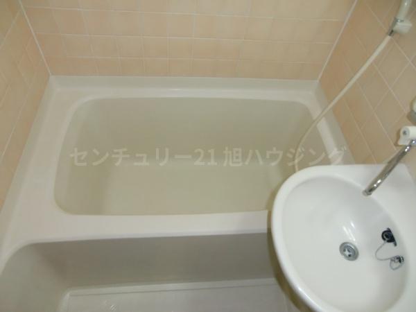 モンターニュ国領のバス画像