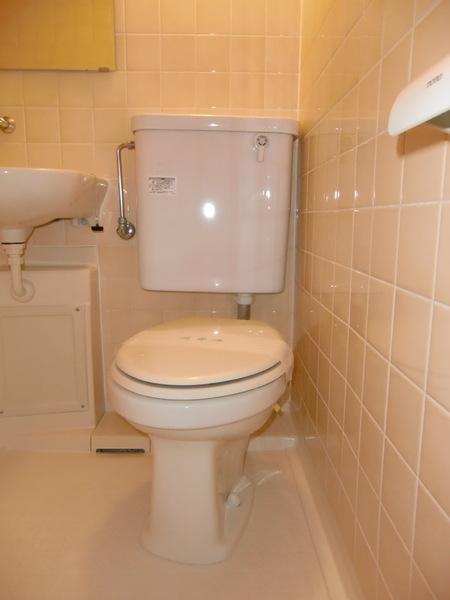 モンターニュ国領のトイレ画像