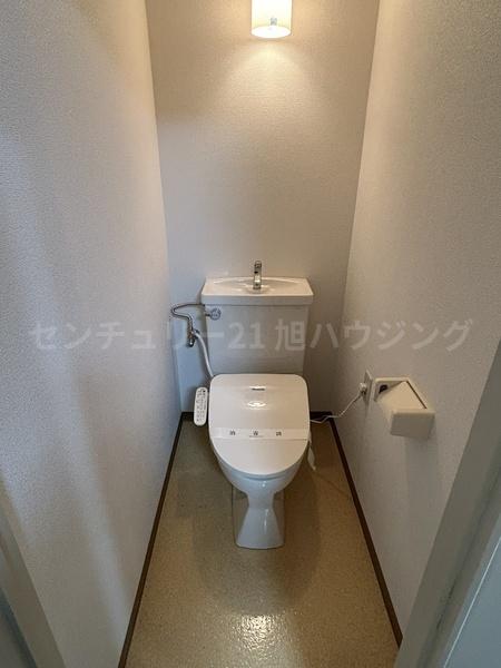 モンターニュ国領のトイレ画像