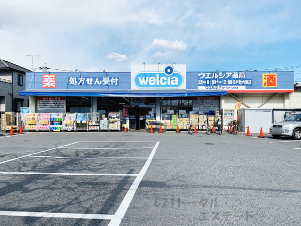 松戸市常盤平６丁目の土地のドラッグストア画像