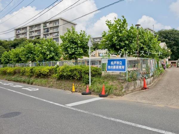 松戸市常盤平６丁目の土地の幼稚園・保育園画像
