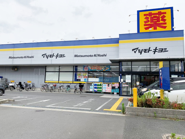 ダイアパレス金町のドラッグストア画像