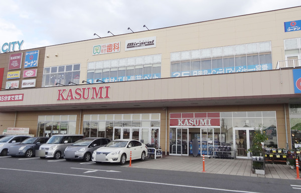 ライオンズマンション北小金のスーパー画像