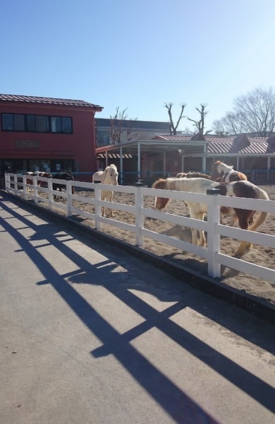 ダイアパレス金町第一の公園画像