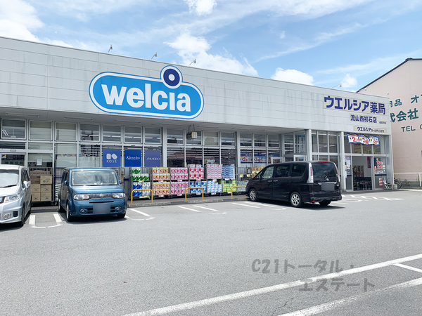 コンドミニアム初石Ｄ棟のドラッグストア画像