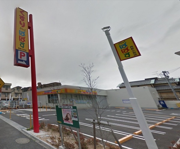 葛飾区西新小岩15期のドラッグストア画像