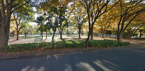 葛飾区西新小岩15期の公園画像