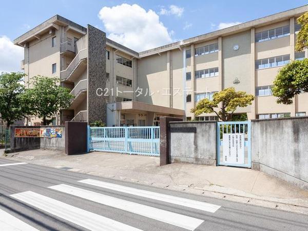 松戸市栄町西５丁目の土地の小学校画像