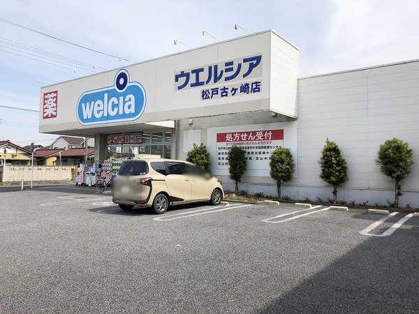 松戸市栄町西５丁目の土地のドラッグストア画像