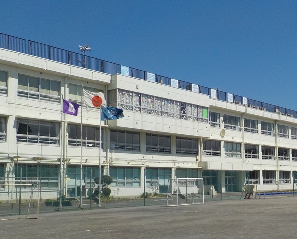 葛飾区東水元3丁目の土地の小学校画像