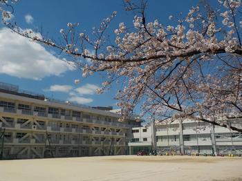 松戸市胡録台の土地の小学校画像