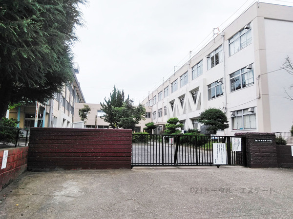 松戸市稔台８丁目の新築一戸建の小学校画像