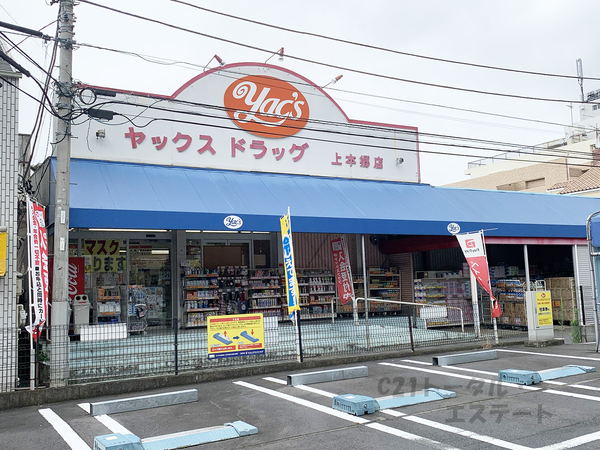 松戸市稔台８丁目の新築一戸建のドラッグストア画像