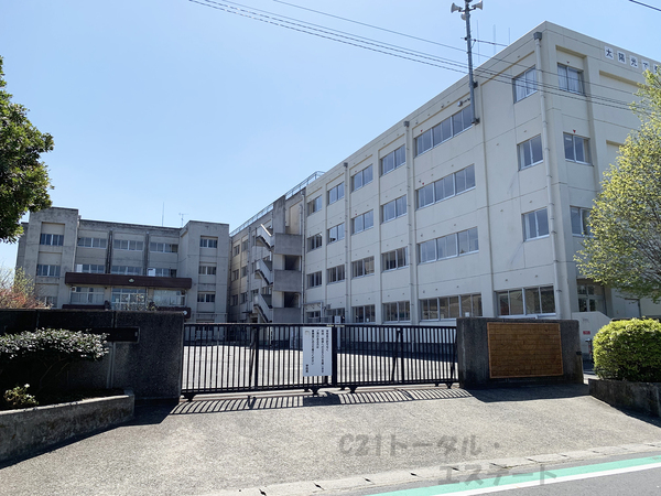 松戸市二ツ木の土地の小学校画像