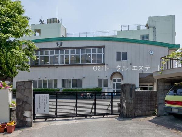 松戸市二ツ木の土地の中学校画像